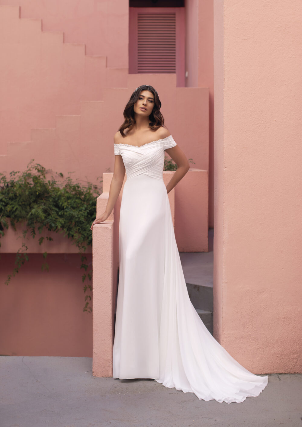 ANGELICA-B